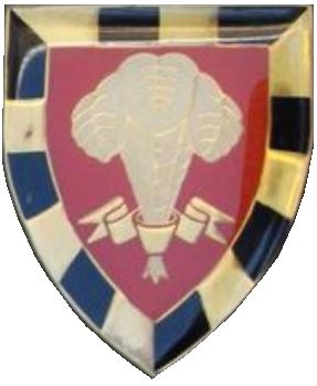 1 South African Infantry Battalion